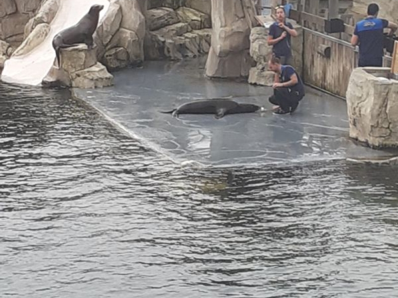 beauval2