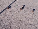 petanque 12