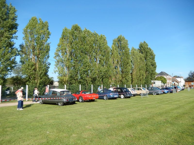 DSCN6346