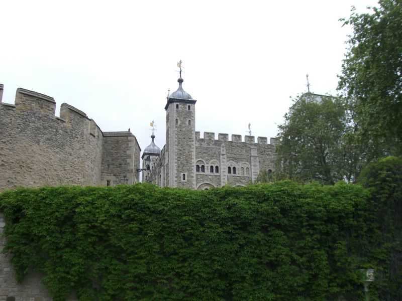 CIMG1235