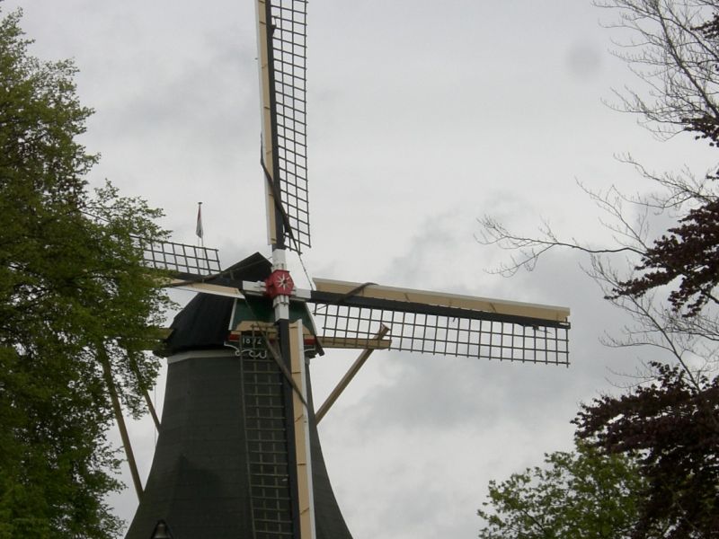 CIMG2569
