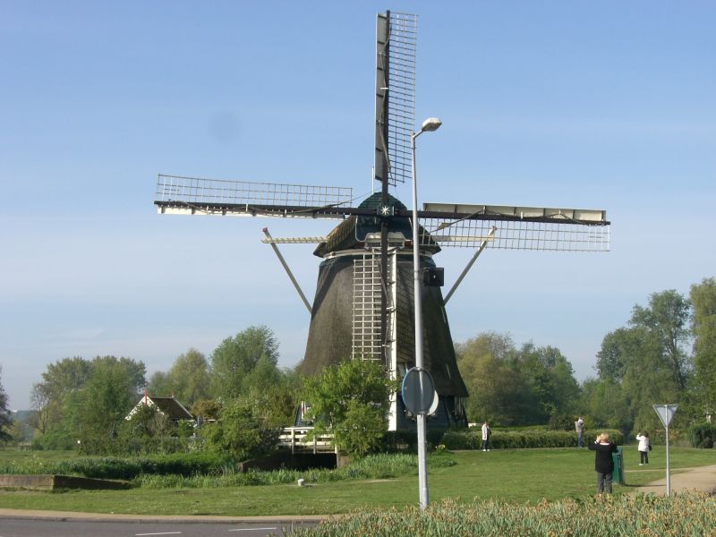 CIMG2584