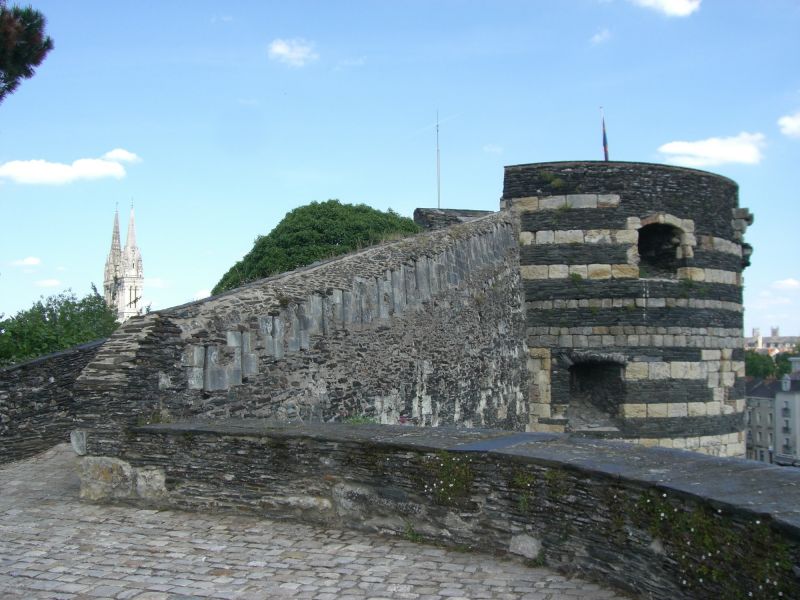 CIMG2979