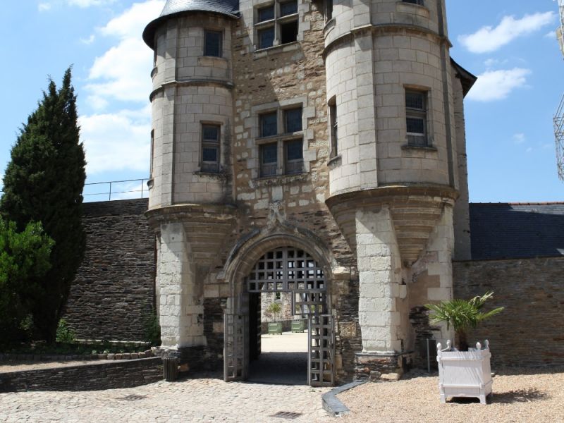 IMG 0478