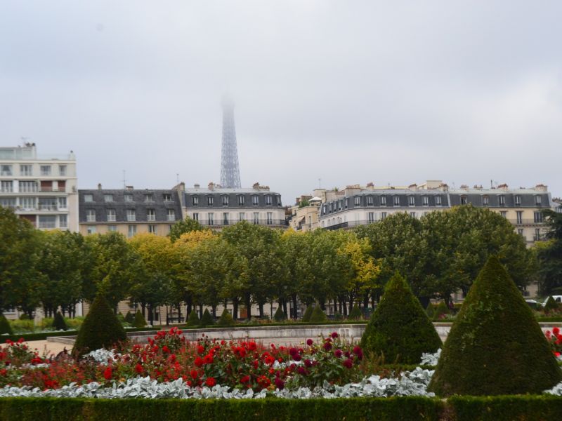 DSC 0036
