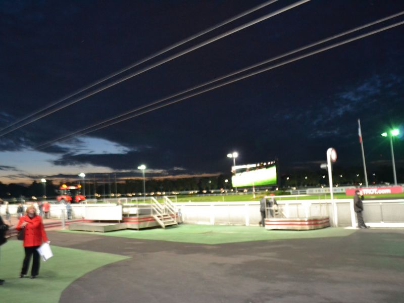 DSC 0081