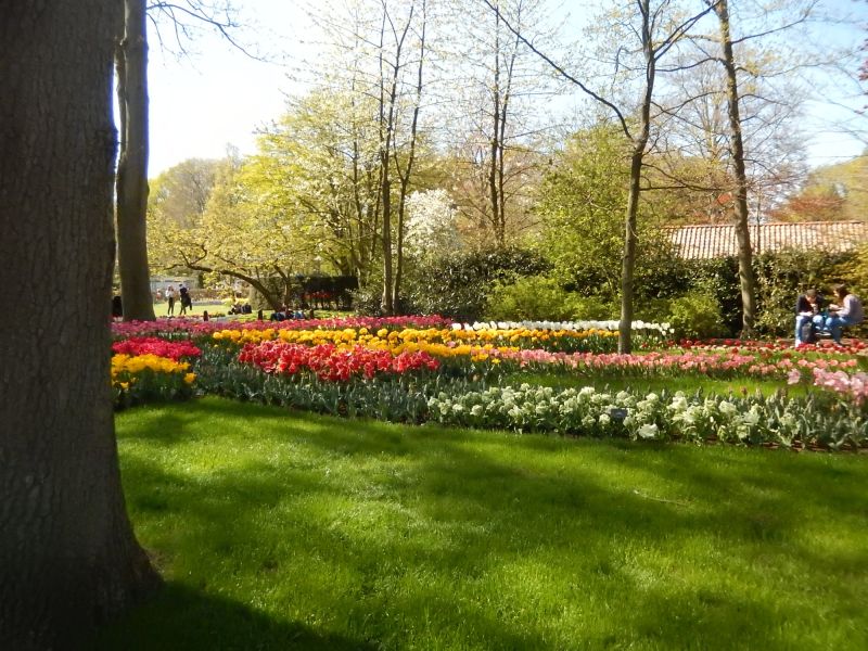 DSCN5365